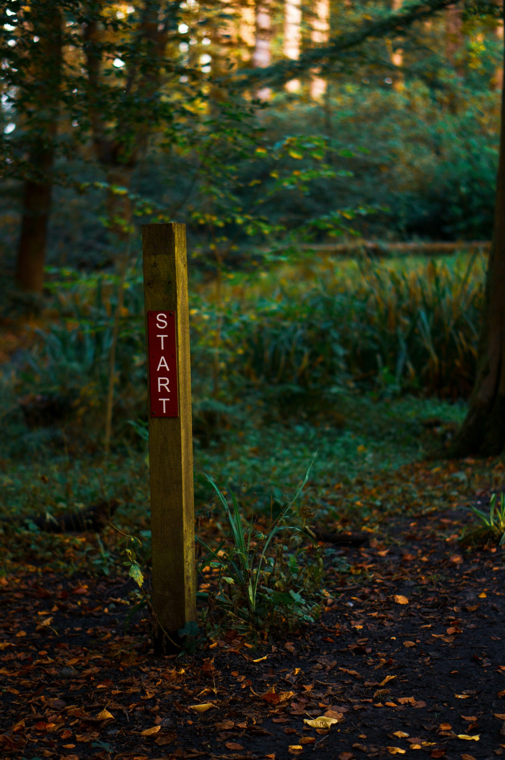 wooden post with the word "Start" on it.